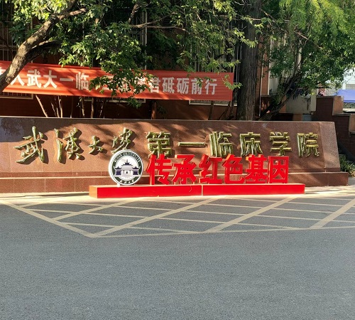 湖北省武漢市人民醫院設備安裝調試