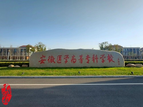 中南藥機︰安徽醫學高等專科學校 “1+X”藥物制劑生產職業技能設備安裝調試