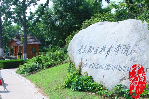 中南藥機｜“1+X”藥物制劑設備安裝調(diào)試：青島職業(yè)技術(shù)學院